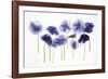 Backlit Pansies-null-Framed Photographic Print