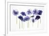 Backlit Pansies-null-Framed Photographic Print