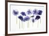 Backlit Pansies-null-Framed Photographic Print