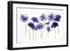 Backlit Pansies-null-Framed Photographic Print