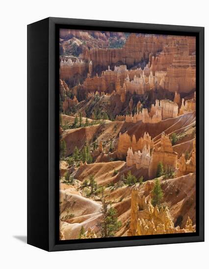 Backlit Sandstone Hoodoos in Bryce Amphitheater, Bryce Canyon National Park, Utah, USA-Neale Clarke-Framed Stretched Canvas