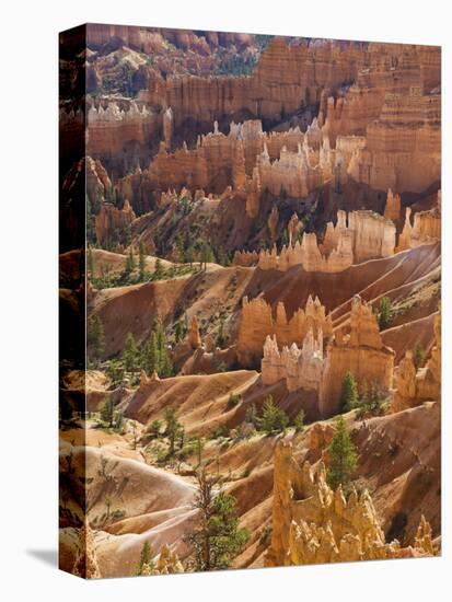 Backlit Sandstone Hoodoos in Bryce Amphitheater, Bryce Canyon National Park, Utah, USA-Neale Clarke-Stretched Canvas