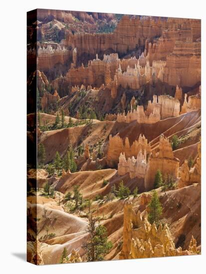 Backlit Sandstone Hoodoos in Bryce Amphitheater, Bryce Canyon National Park, Utah, USA-Neale Clarke-Stretched Canvas