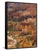 Backlit Sandstone Hoodoos in Bryce Amphitheater, Bryce Canyon National Park, Utah, USA-Neale Clarke-Framed Stretched Canvas