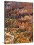 Backlit Sandstone Hoodoos in Bryce Amphitheater, Bryce Canyon National Park, Utah, USA-Neale Clarke-Stretched Canvas