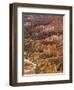 Backlit Sandstone Hoodoos in Bryce Amphitheater, Bryce Canyon National Park, Utah, USA-Neale Clarke-Framed Premium Photographic Print