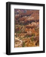 Backlit Sandstone Hoodoos in Bryce Amphitheater, Bryce Canyon National Park, Utah, USA-Neale Clarke-Framed Premium Photographic Print