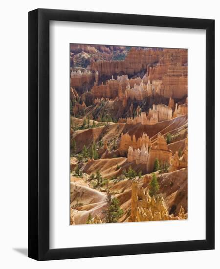 Backlit Sandstone Hoodoos in Bryce Amphitheater, Bryce Canyon National Park, Utah, USA-Neale Clarke-Framed Premium Photographic Print