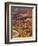 Backlit Sandstone Hoodoos in Bryce Amphitheater, Bryce Canyon National Park, Utah, USA-Neale Clarke-Framed Photographic Print