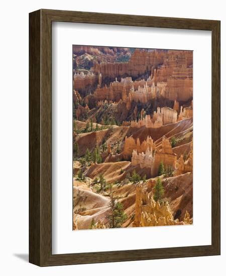 Backlit Sandstone Hoodoos in Bryce Amphitheater, Bryce Canyon National Park, Utah, USA-Neale Clarke-Framed Photographic Print