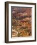 Backlit Sandstone Hoodoos in Bryce Amphitheater, Bryce Canyon National Park, Utah, USA-Neale Clarke-Framed Photographic Print