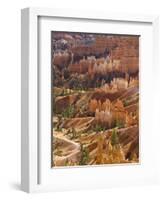 Backlit Sandstone Hoodoos in Bryce Amphitheater, Bryce Canyon National Park, Utah, USA-Neale Clarke-Framed Photographic Print