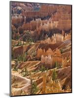 Backlit Sandstone Hoodoos in Bryce Amphitheater, Bryce Canyon National Park, Utah, USA-Neale Clarke-Mounted Photographic Print