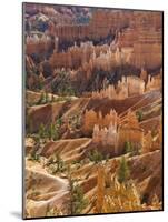 Backlit Sandstone Hoodoos in Bryce Amphitheater, Bryce Canyon National Park, Utah, USA-Neale Clarke-Mounted Photographic Print