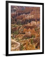 Backlit Sandstone Hoodoos in Bryce Amphitheater, Bryce Canyon National Park, Utah, USA-Neale Clarke-Framed Photographic Print