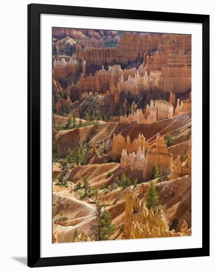 Backlit Sandstone Hoodoos in Bryce Amphitheater, Bryce Canyon National Park, Utah, USA-Neale Clarke-Framed Photographic Print