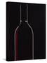 Backlit Shot of a Bottle of Red Wine-Lee Frost-Stretched Canvas