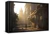 Backlit Street at Dawn with People in Semi-Silhouette-Lee Frost-Framed Stretched Canvas