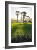 Backlit Trees in Green Fields, the Catlins, South Island, New Zealand, Pacific-Michael-Framed Photographic Print