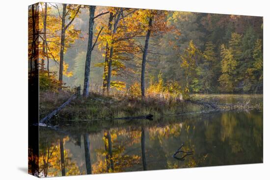 Backlit Trees on Lake Ogle in Autumn in Brown County Sp, Indiana-Chuck Haney-Stretched Canvas