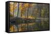 Backlit Trees on Lake Ogle in Autumn in Brown County Sp, Indiana-Chuck Haney-Framed Stretched Canvas