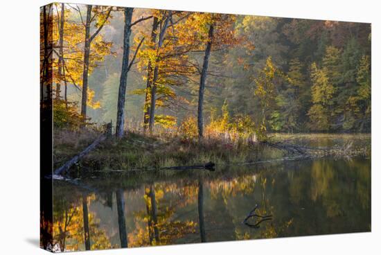 Backlit Trees on Lake Ogle in Autumn in Brown County Sp, Indiana-Chuck Haney-Stretched Canvas