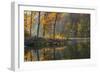 Backlit Trees on Lake Ogle in Autumn in Brown County Sp, Indiana-Chuck Haney-Framed Photographic Print