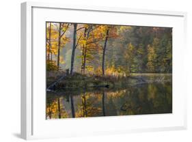 Backlit Trees on Lake Ogle in Autumn in Brown County Sp, Indiana-Chuck Haney-Framed Photographic Print