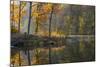 Backlit Trees on Lake Ogle in Autumn in Brown County Sp, Indiana-Chuck Haney-Mounted Photographic Print