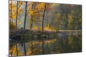 Backlit Trees on Lake Ogle in Autumn in Brown County Sp, Indiana-Chuck Haney-Mounted Photographic Print