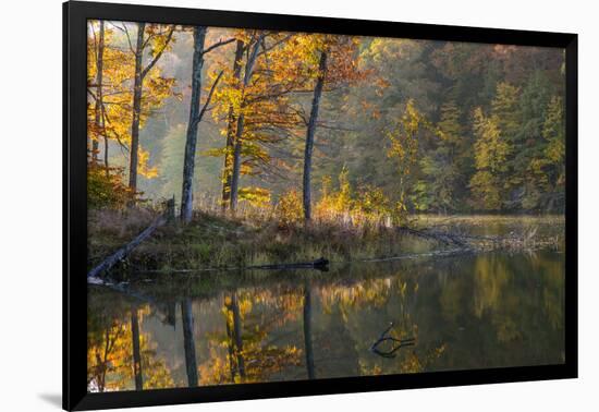 Backlit Trees on Lake Ogle in Autumn in Brown County Sp, Indiana-Chuck Haney-Framed Photographic Print