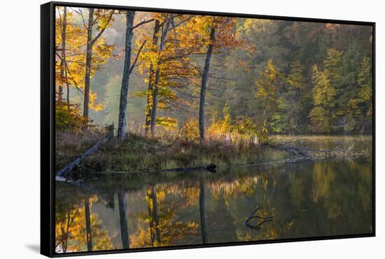 Backlit Trees on Lake Ogle in Autumn in Brown County Sp, Indiana-Chuck Haney-Framed Stretched Canvas