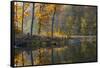 Backlit Trees on Lake Ogle in Autumn in Brown County Sp, Indiana-Chuck Haney-Framed Stretched Canvas