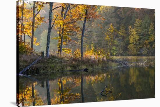 Backlit Trees on Lake Ogle in Autumn in Brown County Sp, Indiana-Chuck Haney-Stretched Canvas
