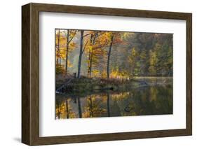 Backlit Trees on Lake Ogle in Autumn in Brown County Sp, Indiana-Chuck Haney-Framed Photographic Print