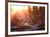 Backlit View of Two Red Deer Stags Battling at Sunrise-Alex Saberi-Framed Photographic Print