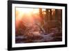 Backlit View of Two Red Deer Stags Battling at Sunrise-Alex Saberi-Framed Photographic Print