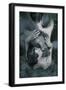 Backmirror, 2016-Elinleticia H?gabo-Framed Giclee Print