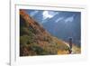 Backpacker on Trail, Huckleberry(Vaccinium Deliciosum), Washington,Usa-Gary Luhm-Framed Photographic Print