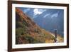 Backpacker on Trail, Huckleberry(Vaccinium Deliciosum), Washington,Usa-Gary Luhm-Framed Photographic Print