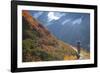 Backpacker on Trail, Huckleberry(Vaccinium Deliciosum), Washington,Usa-Gary Luhm-Framed Photographic Print