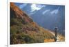 Backpacker on Trail, Huckleberry(Vaccinium Deliciosum), Washington,Usa-Gary Luhm-Framed Photographic Print