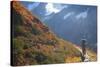 Backpacker on Trail, Huckleberry(Vaccinium Deliciosum), Washington,Usa-Gary Luhm-Stretched Canvas