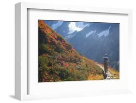 Backpacker on Trail, Huckleberry(Vaccinium Deliciosum), Washington,Usa-Gary Luhm-Framed Photographic Print