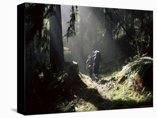 Backpackers in Steamy Light, Queets Vall, Olympic National Park, Washington State, USA-Aaron McCoy-Stretched Canvas