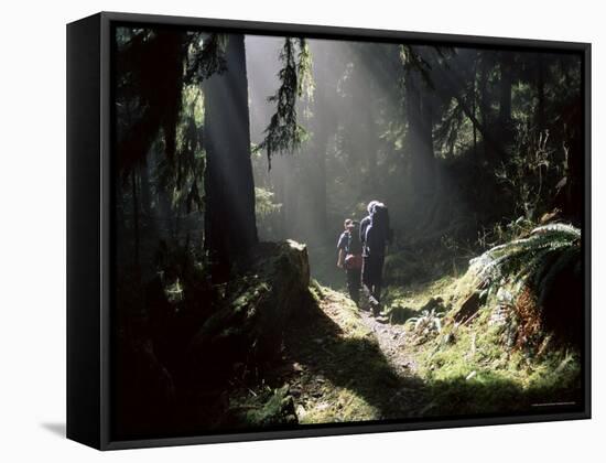 Backpackers in Steamy Light, Queets Vall, Olympic National Park, Washington State, USA-Aaron McCoy-Framed Stretched Canvas