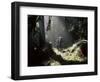 Backpackers in Steamy Light, Queets Vall, Olympic National Park, Washington State, USA-Aaron McCoy-Framed Photographic Print