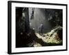 Backpackers in Steamy Light, Queets Vall, Olympic National Park, Washington State, USA-Aaron McCoy-Framed Photographic Print