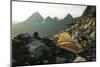 Backpacking in the North Cascades, Washington-Steven Gnam-Mounted Photographic Print