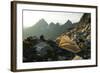 Backpacking in the North Cascades, Washington-Steven Gnam-Framed Photographic Print